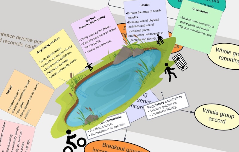 Ecosystem services in urban stormwater ponds: Players, perceptions and priorities for advancing planning and management